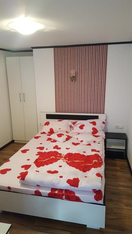 Ferienwohnung Casa Leo Haţeg Exterior foto